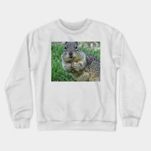 Caught in the act Crewneck Sweatshirt